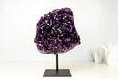 AAA - Grade Royal Purple Amethyst Geode Cluster with Rare Stalactite Flower - E2D Crystals & Minerals