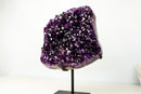 AAA - Grade Royal Purple Amethyst Geode Cluster with Rare Stalactite Flower - E2D Crystals & Minerals