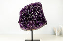 AAA - Grade Royal Purple Amethyst Geode Cluster with Rare Stalactite Flower - E2D Crystals & Minerals