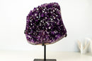 AAA - Grade Royal Purple Amethyst Geode Cluster with Rare Stalactite Flower - E2D Crystals & Minerals