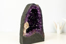 Small AAA - Grade Amethyst Geode with Gemmy “Grape Jelly” Purple - E2D Crystals & Minerals