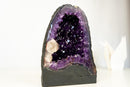 Small AAA - Grade Amethyst Geode with Gemmy “Grape Jelly” Purple - E2D Crystals & Minerals
