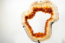 AAA Madeira Citrine Geode Portal with White Agate Frame - E2D Crystals & Minerals
