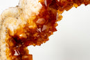 AAA Madeira Citrine Geode Portal with White Agate Frame - E2D Crystals & Minerals