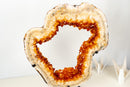 AAA Madeira Citrine Geode Portal with White Agate Frame - E2D Crystals & Minerals