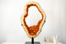 Madeira Orange Citrine Portal Slice with Crisp White Agate Frame - E2D Crystals & Minerals
