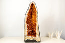AAA - Grade Golden - Orange Citrine Geode Cathedral - E2D Crystals & Minerals