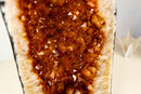 AAA - Grade Golden - Orange Citrine Geode Cathedral - E2D Crystals & Minerals