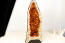 AAA - Grade Golden - Orange Citrine Geode Cathedral - E2D Crystals & Minerals