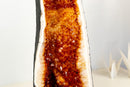AAA - Grade Madeira Citrine Geode Cathedral - E2D Crystals & Minerals