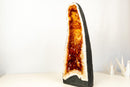 AAA - Grade Madeira Citrine Geode Cathedral - E2D Crystals & Minerals