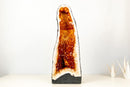 AAA - Grade Madeira Citrine Geode Cathedral - E2D Crystals & Minerals