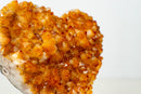 Large High - Grade Citrine Crystal Heart – Golden Orange Druzy Points - E2D Crystals & Minerals