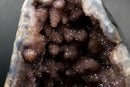 Collector - Grade Amethyst Geode with Galaxy Druzy over Calcite - E2D Crystals & Minerals