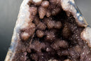 Collector - Grade Amethyst Geode with Galaxy Druzy over Calcite - E2D Crystals & Minerals