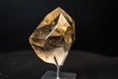 Genuine AAA Honey - Yellow Citrine Quartz Point with Rainbows - E2D Crystals & Minerals