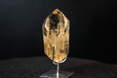 Genuine Honey - Yellow Citrine Quartz Point with Rainbows from Brazil - E2D Crystals & Minerals