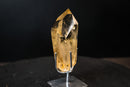Genuine Honey - Yellow Citrine Quartz Point with Rainbows from Brazil - E2D Crystals & Minerals