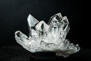 Water - Clear Quartz Cluster from Serra do Cabral, Diamantina – Multi - Terminated “Pinecone” - E2D Crystals & Minerals