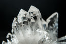 Water - Clear Quartz Cluster from Serra do Cabral, Diamantina – Multi - Terminated “Pinecone” - E2D Crystals & Minerals