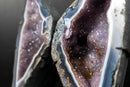 Lace Agate “Angel Wings” Geode – Blue & White Banding with Galaxy Amethyst - E2D Crystals & Minerals