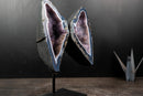 Lace Agate “Angel Wings” Geode – Blue & White Banding with Galaxy Amethyst - E2D Crystals & Minerals