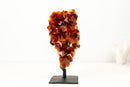 AAA - Grade Madeira Citrine Crystal Cluster with Large Druzy - E2D Crystals & Minerals