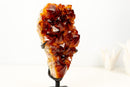 AAA - Grade Madeira Citrine Crystal Cluster with Large Druzy - E2D Crystals & Minerals