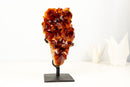 AAA - Grade Madeira Citrine Crystal Cluster with Large Druzy - E2D Crystals & Minerals