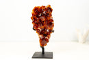 AAA - Grade Madeira Citrine Crystal Cluster with Large Druzy - E2D Crystals & Minerals