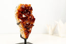 AAA - Grade Madeira Citrine Crystal Cluster with Large Druzy - E2D Crystals & Minerals