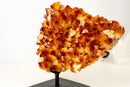 AAA Madeira Citrine Druzy Cluster – Intense Orange to Reddish Crystal Points - E2D Crystals & Minerals