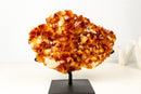 AAA Madeira Citrine Druzy Cluster – Intense Orange to Reddish Crystal Points - E2D Crystals & Minerals