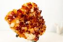 AAA Madeira Citrine Druzy Cluster – Intense Orange to Reddish Crystal Points - E2D Crystals & Minerals