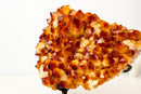 AAA Madeira Citrine Druzy Cluster – Intense Orange to Reddish Crystal Points - E2D Crystals & Minerals