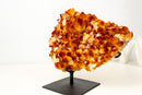 AAA Madeira Citrine Druzy Cluster – Intense Orange to Reddish Crystal Points - E2D Crystals & Minerals