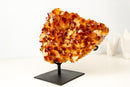 AAA Madeira Citrine Druzy Cluster – Intense Orange to Reddish Crystal Points - E2D Crystals & Minerals