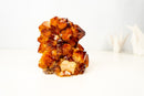 AAA Madeira Citrine Flower Rosette Cluster – Fiery Large Orange Druzy - E2D Crystals & Minerals