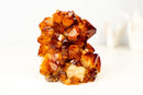 AAA Madeira Citrine Flower Rosette Cluster – Fiery Large Orange Druzy - E2D Crystals & Minerals