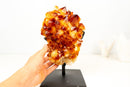 Natural Citrine Cluster with AAA, Large Madeira Orange Citrine Druzy - E2D Crystals & Minerals