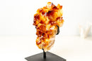 Natural Citrine Cluster with AAA, Large Madeira Orange Citrine Druzy - E2D Crystals & Minerals