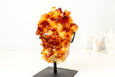 Natural Citrine Cluster with AAA, Large Madeira Orange Citrine Druzy - E2D Crystals & Minerals