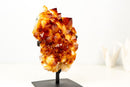 Natural Citrine Cluster with AAA, Large Madeira Orange Citrine Druzy - E2D Crystals & Minerals