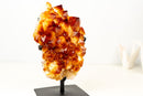 Natural Citrine Cluster with AAA, Large Madeira Orange Citrine Druzy - E2D Crystals & Minerals