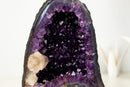 Small AAA - Grade Amethyst Geode with Gemmy “Grape Jelly” Purple - E2D Crystals & Minerals