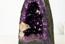 Small AAA - Grade Amethyst Geode with Gemmy “Grape Jelly” Purple - E2D Crystals & Minerals