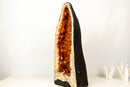 AAA - Grade Golden - Orange Citrine Geode Cathedral - E2D Crystals & Minerals