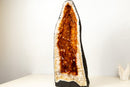 AAA - Grade Golden - Orange Citrine Geode Cathedral - E2D Crystals & Minerals
