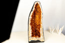 AAA - Grade Golden - Orange Citrine Geode Cathedral - E2D Crystals & Minerals