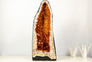 AAA - Grade Golden - Orange Citrine Geode Cathedral - E2D Crystals & Minerals